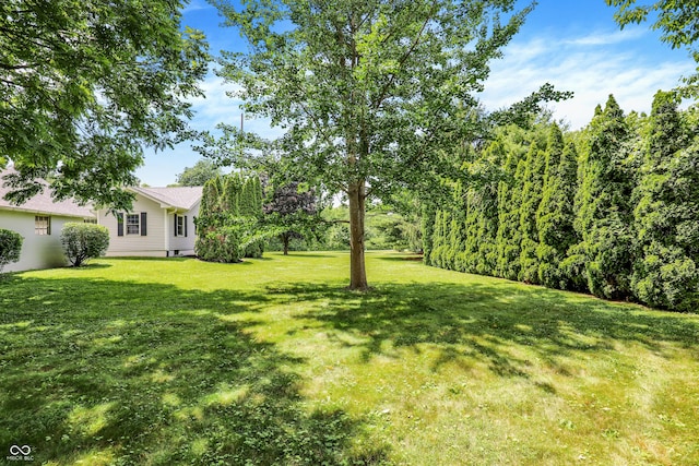 6711 Lafayette Rd, Indianapolis, IN 46278 - view of grassy yard