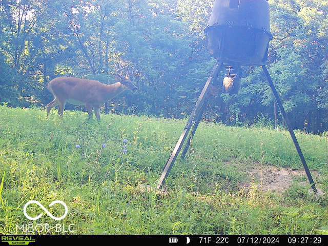0 Black Ankle Rd, Bloomfield, IN 47424