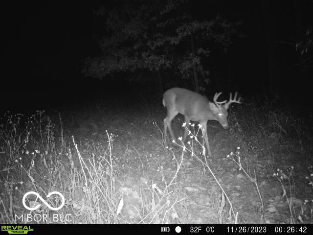 0 Black Ankle Rd, Bloomfield, IN 47424