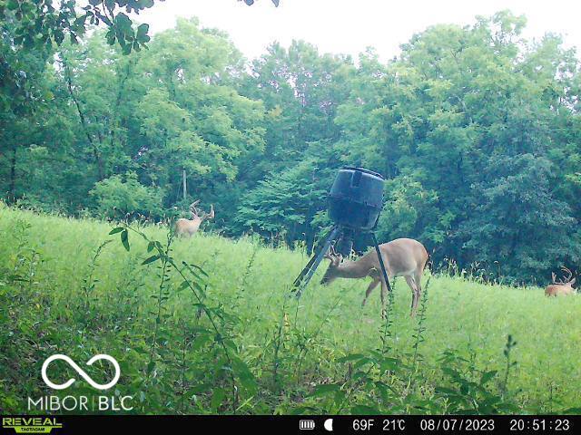0 Black Ankle Rd, Bloomfield, IN 47424