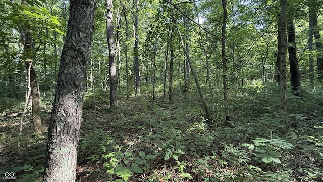 0 Black Ankle Rd, Bloomfield, IN 47424