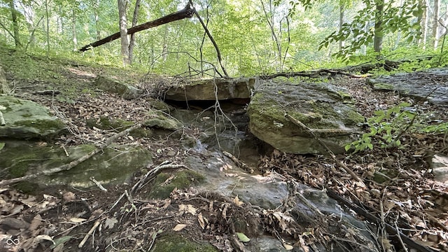 0 Black Ankle Rd, Bloomfield, IN 47424