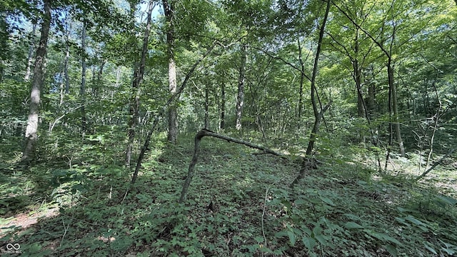 0 Black Ankle Rd, Bloomfield, IN 47424