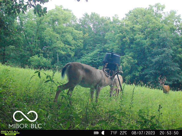 0 Black Ankle Rd, Bloomfield, IN 47424