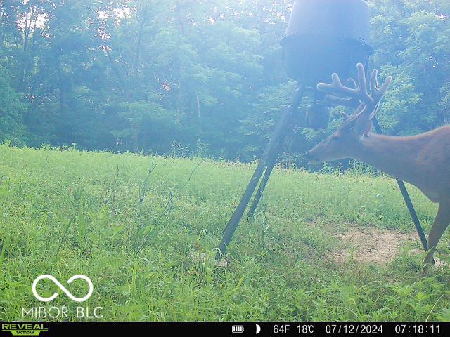 0 Black Ankle Rd, Bloomfield, IN 47424