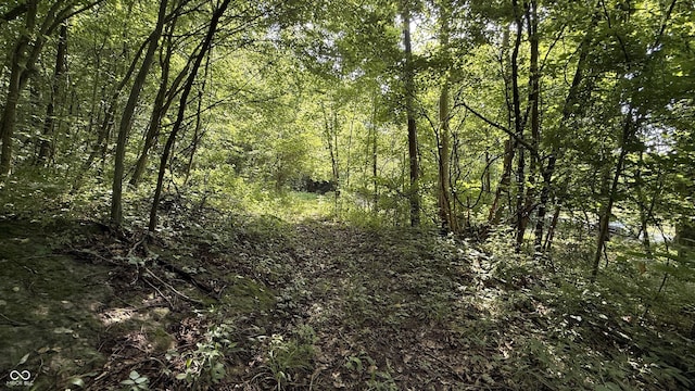 0 Black Ankle Rd, Bloomfield, IN 47424
