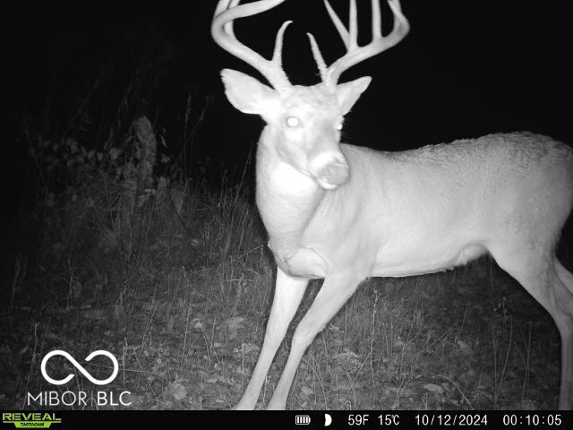 0 Black Ankle Rd, Bloomfield, IN 47424