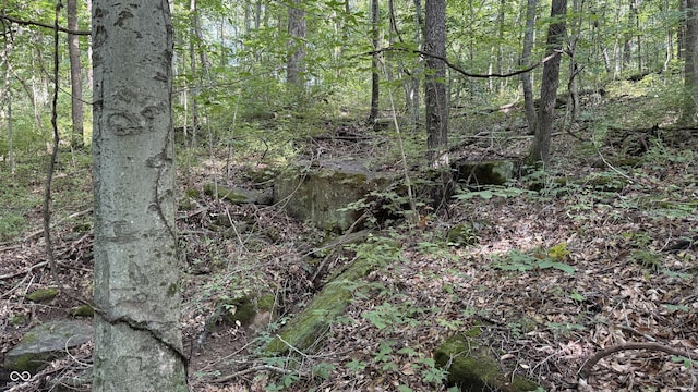 0 Black Ankle Rd, Bloomfield, IN 47424