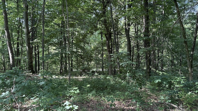 0 Black Ankle Rd, Bloomfield, IN 47424