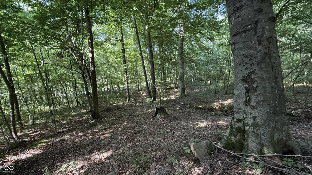 0 Black Ankle Rd, Bloomfield, IN 47424