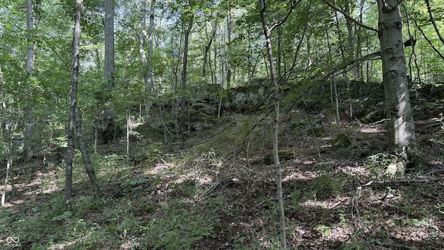 0 Black Ankle Rd, Bloomfield, IN 47424
