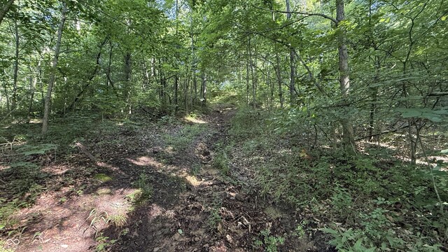0 Black Ankle Rd, Bloomfield, IN 47424