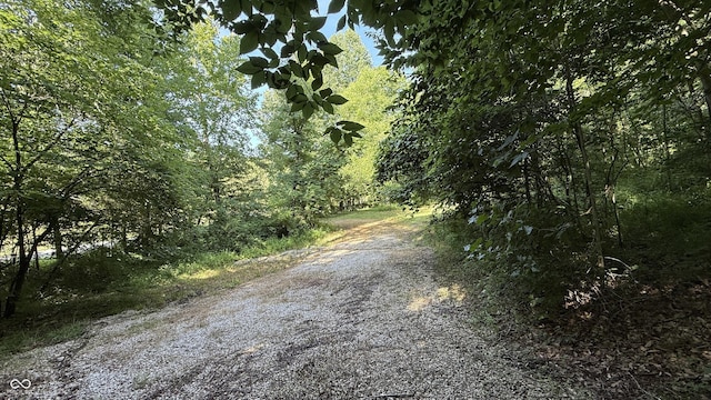 0 Black Ankle Rd, Bloomfield, IN 47424