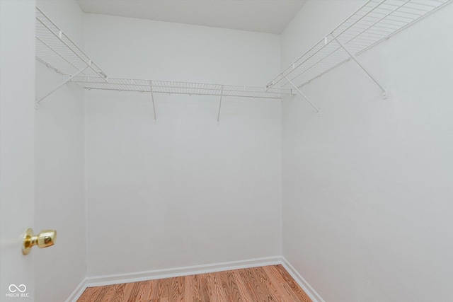 3183 Hemlock St, Whiteland, IN 46184 - walk in closet featuring light wood-style floors
