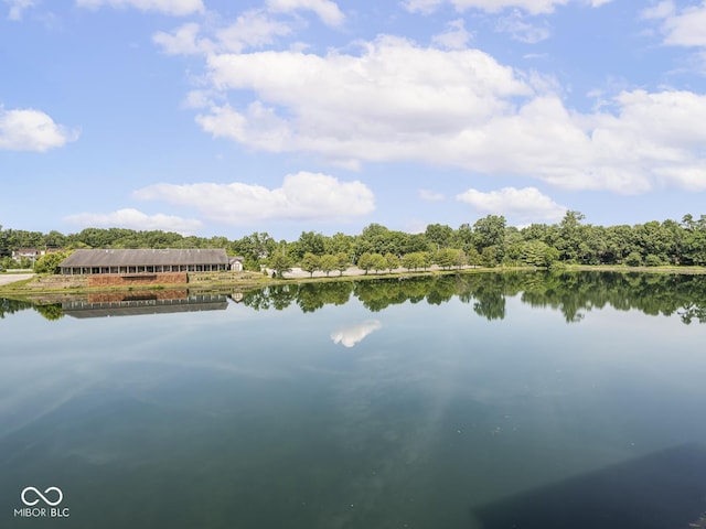 6730 Spirit Lake Dr Unit 202, Indianapolis, IN 46220 - water view