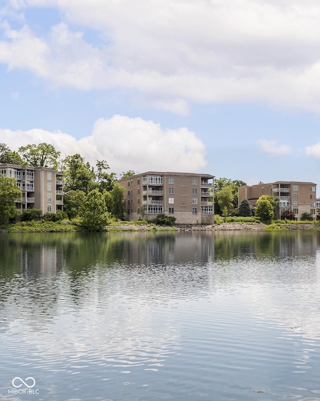 6730 Spirit Lake Dr Unit 202, Indianapolis, IN 46220 - water view
