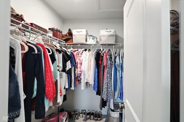 18750 Terra Vis Pl, Westfield, IN 46074 - spacious closet featuring attic access