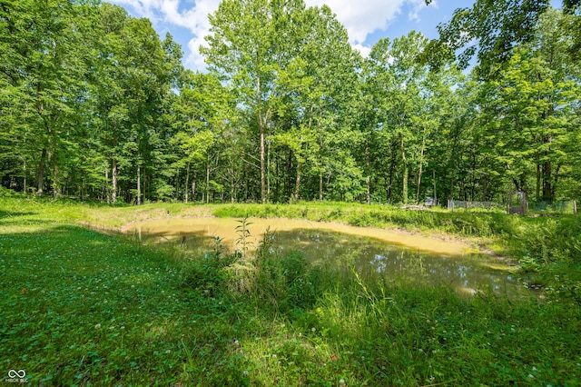 2886 S Whitehorse Rd, Nashville, IN 47448 - photo 14