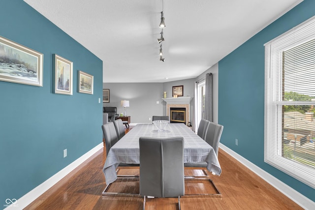 8650 Jaffa Ct W Drive 32, Indianapolis, IN 46260 - dining room featuring rail lighting, a fireplace, plenty of natural light, and wood finished floors