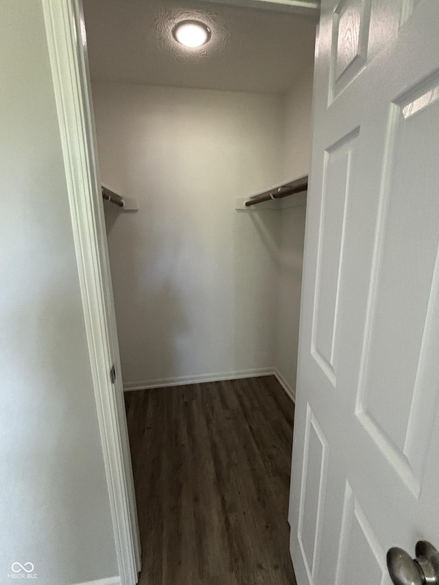 7313 Shanna Cir, Indianapolis, IN 46236 - spacious closet featuring dark wood finished floors