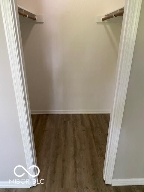 7313 Shanna Cir, Indianapolis, IN 46236 - walk in closet with wood finished floors
