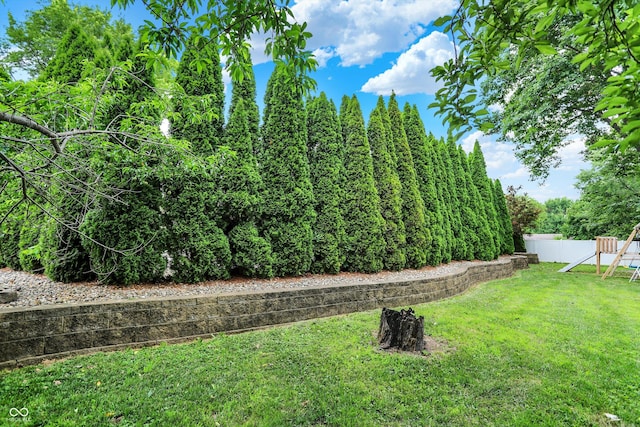 125 E Waterbury Rd, Indianapolis, IN 46227 - view of grassy yard with a playground