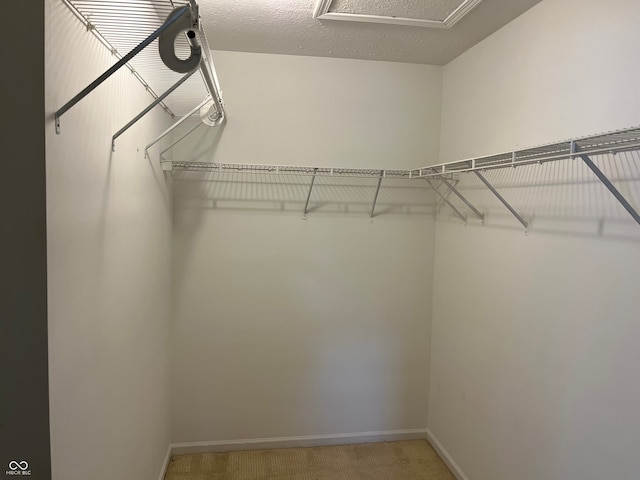 11332 Fonthill Dr, Indianapolis, IN 46236 - walk in closet featuring light colored carpet and attic access
