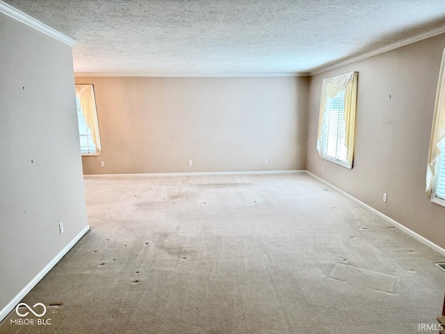 3400 W Riggin Rd, Muncie, IN 47304 - unfurnished room with a textured ceiling, ornamental molding, and carpet