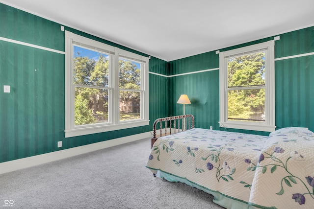 408 E Wabash Ave, Crawfordsville, IN 47933 - bedroom with carpet and multiple windows