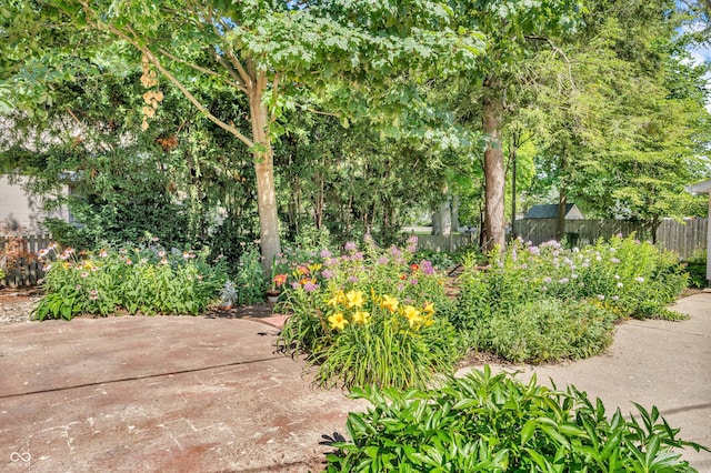 408 E Wabash Ave, Crawfordsville, IN 47933 - view of yard