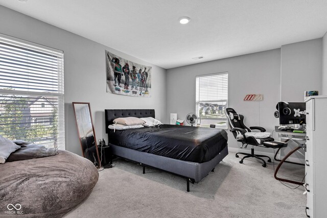 11480 Plough St, Noblesville, IN 46060 - bedroom featuring carpet floors and a desk