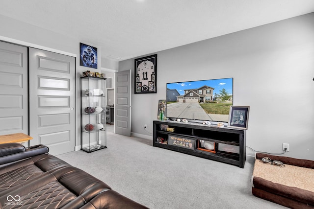 11480 Plough St, Noblesville, IN 46060 - carpeted living area with baseboards