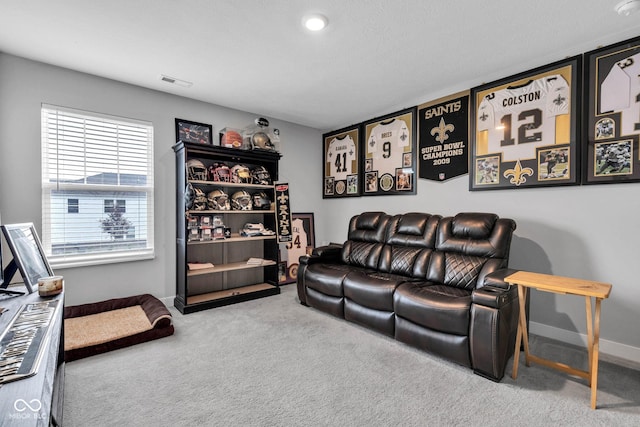 11480 Plough St, Noblesville, IN 46060 - living room featuring carpet floors and baseboards