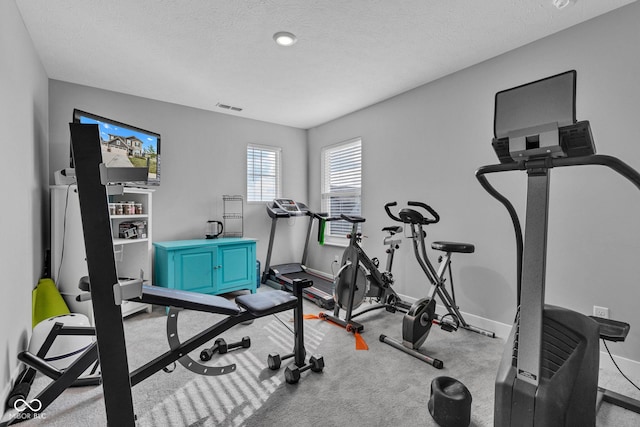 11480 Plough St, Noblesville, IN 46060 - exercise area featuring a textured ceiling and carpet floors