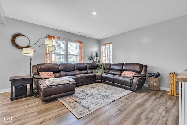 11480 Plough St, Noblesville, IN 46060 - living area featuring wood finished floors and recessed lighting