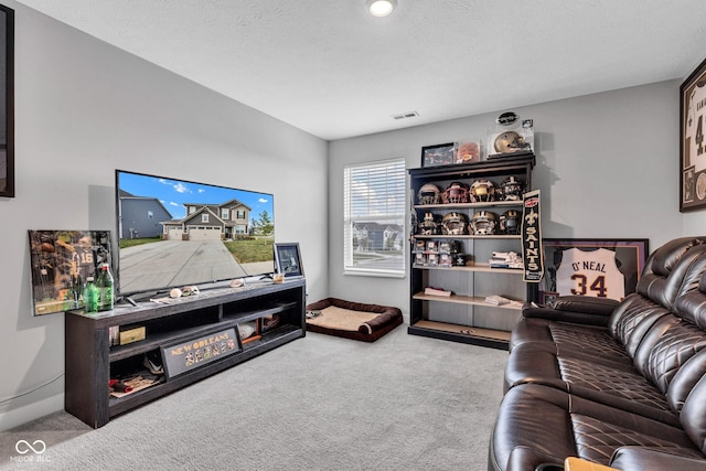 11480 Plough St, Noblesville, IN 46060 - living room featuring carpet flooring