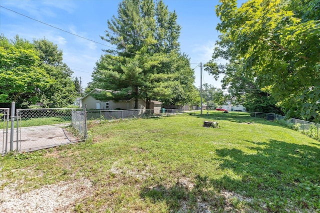 221 N Adams St, Brownsburg, IN 46112 - view of yard