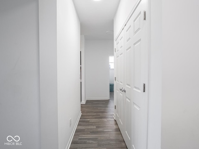 7241 Glen Park Ln, Indianapolis, IN 46259 - photo 24