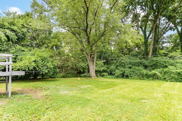 2521 Winfield Ave, Indianapolis, IN 46222 - view of green lawn