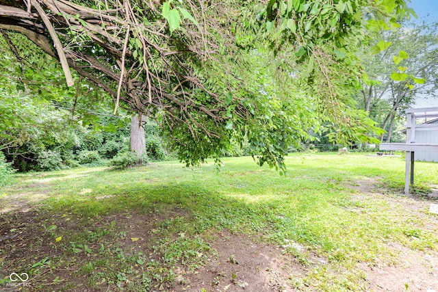 2521 Winfield Ave, Indianapolis, IN 46222 - view of grassy yard