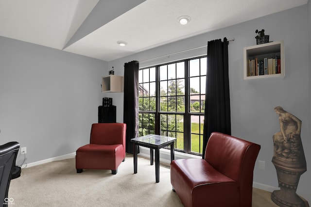 826 Royal Saint George Dr, Greenwood, IN 46143 - sitting room with carpet and vaulted ceiling