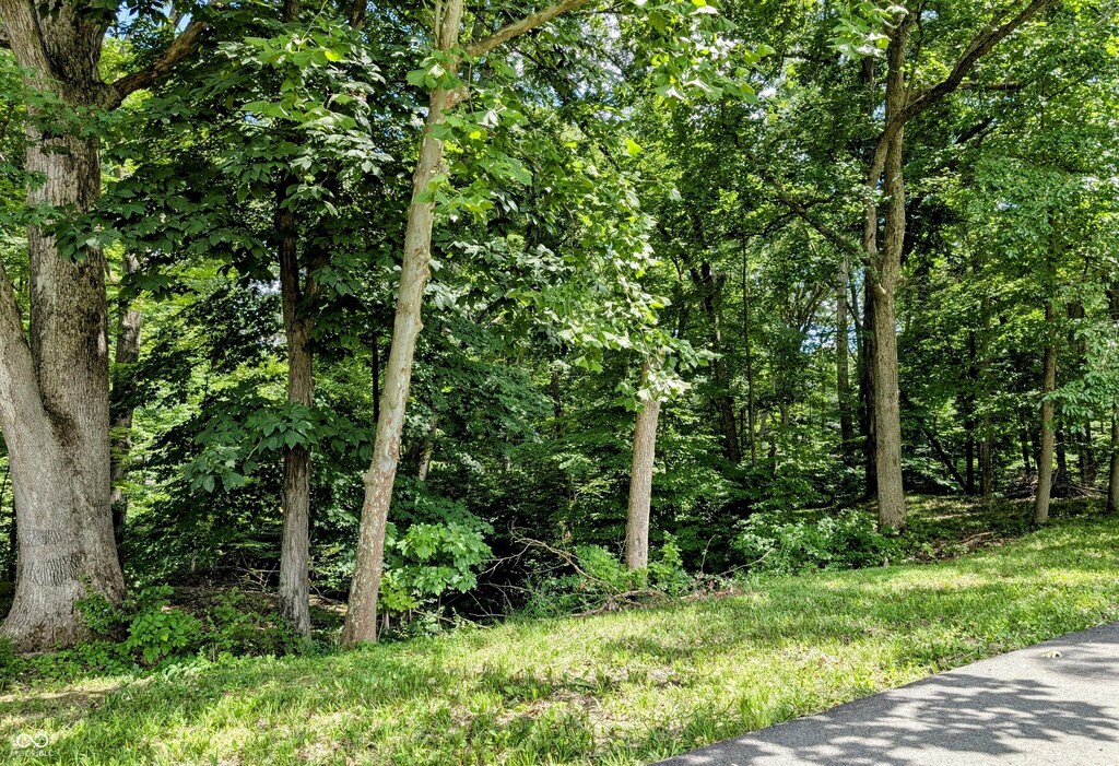 0 S Cove Rd, Martinsville, IN 46151 - photo 2