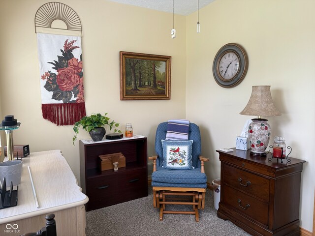 951 Plaza Dr, Martinsville, IN 46151 - photo 15