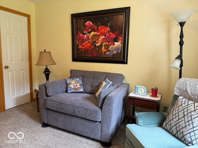 951 Plaza Dr, Martinsville, IN 46151 - photo 20
