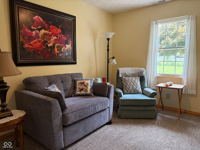 951 Plaza Dr, Martinsville, IN 46151 - photo 19