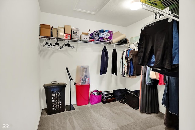 12075 Scoria Dr Unit 500, Fishers, IN 46038 - walk in closet featuring carpet floors and attic access
