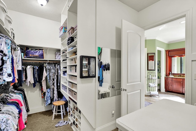 523 S 700 E, Whitestown, IN 46075 - spacious closet featuring carpet floors