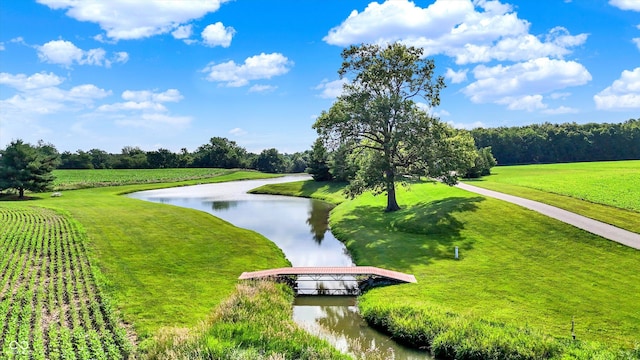 523 S 700 E, Whitestown, IN 46075 - surrounding community featuring a water view and a lawn