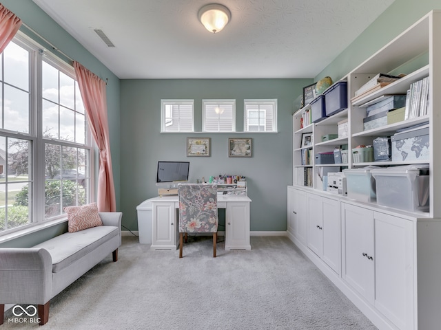 8330 Whitaker Valley Blvd, Indianapolis, IN 46237 - office area with light carpet and baseboards