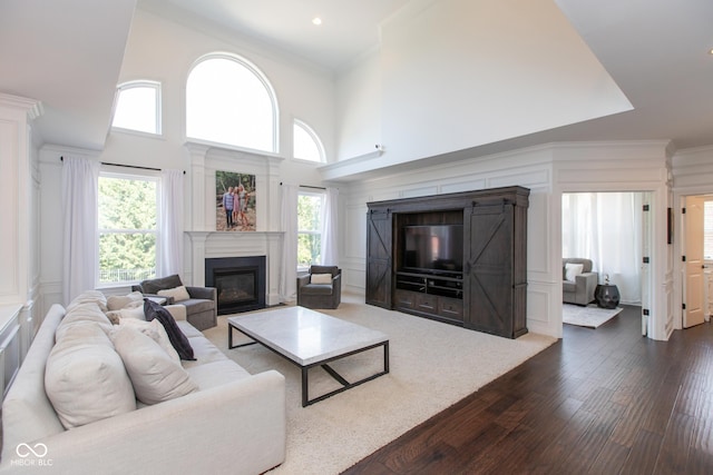 10334 Strongbow Rd, Fishers, IN 46040 - living area featuring a glass covered fireplace, dark wood-style flooring, plenty of natural light, a towering ceiling, and ornamental molding